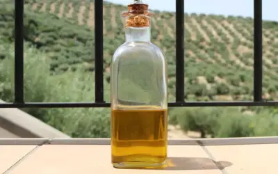 Blog 8 Aceite de orujo de oliva: propiedades y beneficios en la cocina española
