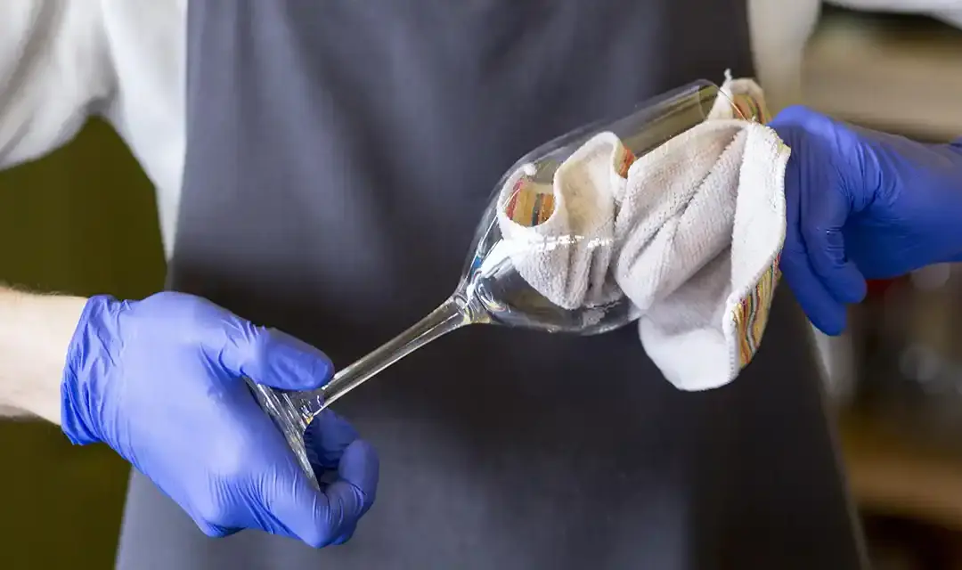 Guantes desechables - Distribuciones la Montaña